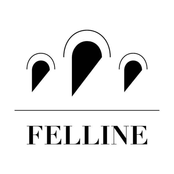 Logo Felline