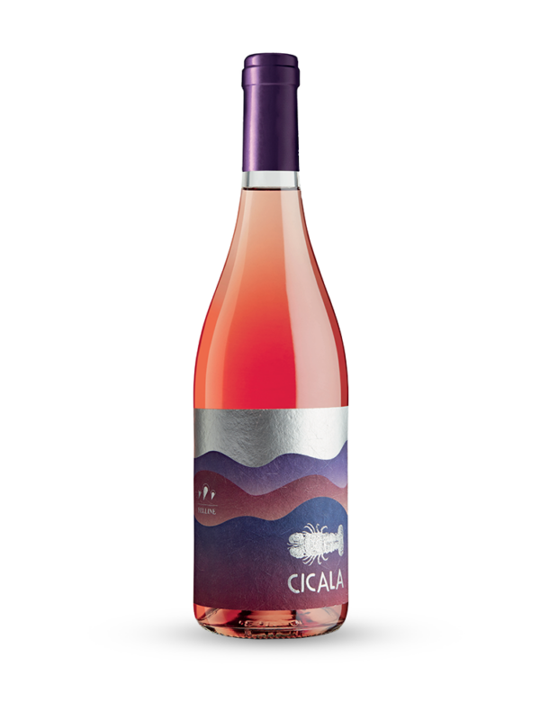 cicala rosè