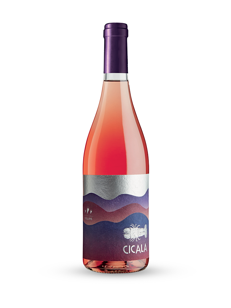 cicala rosè